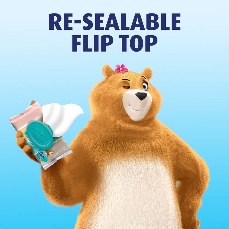 Charmin Freshmates Flushable Unscented Wet Wipes, 12 Packs, 40 Sheets Per Pack, Prime Pantry - Image 5